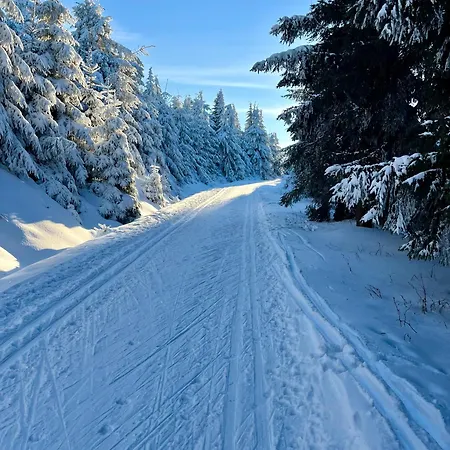 Horalka Destne v Orlickych horach